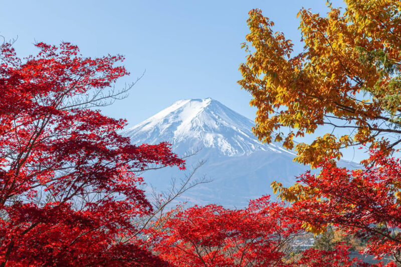 Tokyo：Mount Fuji Popular Instagrammable Sightseeing Tour - Arakurayama Sengen Park