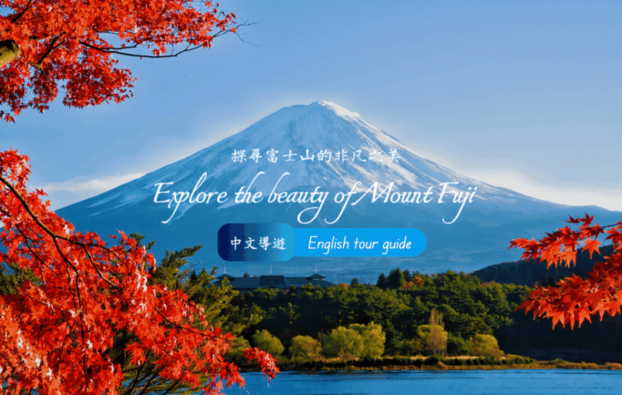 Tokyo：Mount Fuji Popular Instagrammable Sightseeing Tour