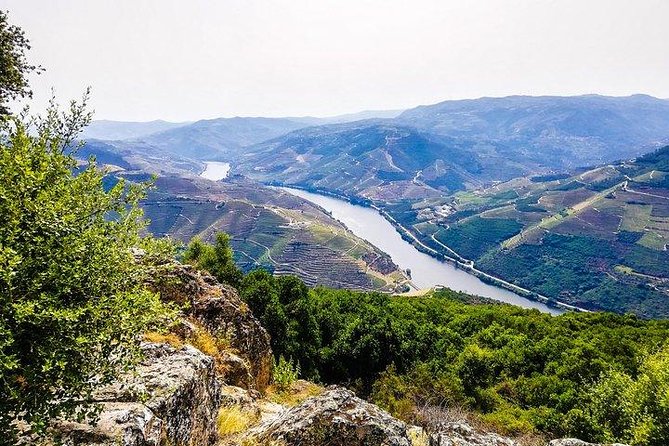 Top Highlights of Douro Valley From Porto Full Day Private Tour