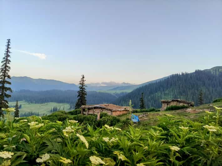 Tosa Maidan – The King of Meadows