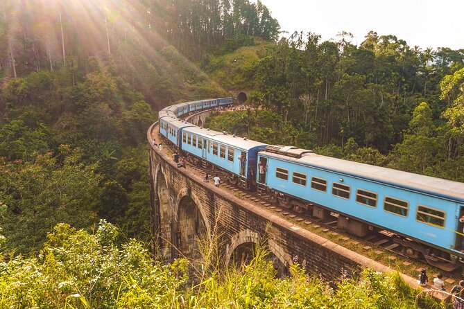 Tour Ella With a Local, Learn About Life in Sri Lanka!
