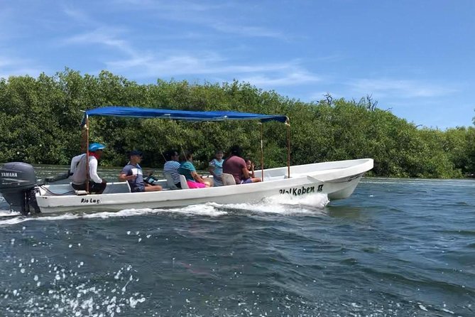 Tour Las Coloradas and Rio Lagartos