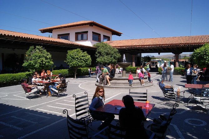 Traditional Cheese and Wine Route in Spanish, Departing From Querétaro