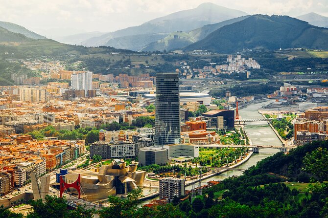 Transfer From Bilbao Airport (Bio) to Bilbao City Center - Overview of the Transfer Service