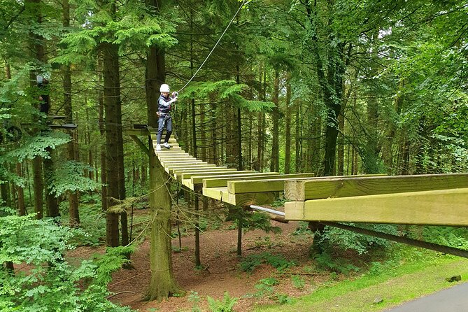 Tree Top Highwire – 2 Different Courses for Different Age Groups
