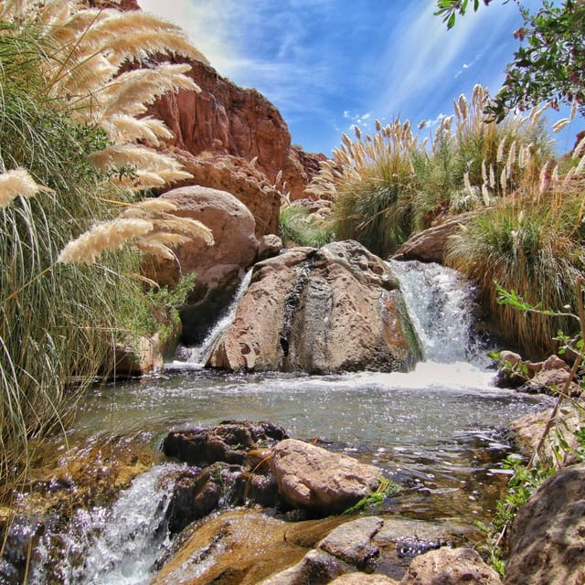 Trekking Purilibre
