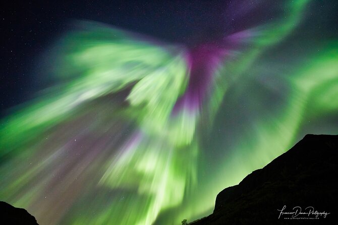 Tromso: Private Aurora Chase by Minivan - Tour Overview