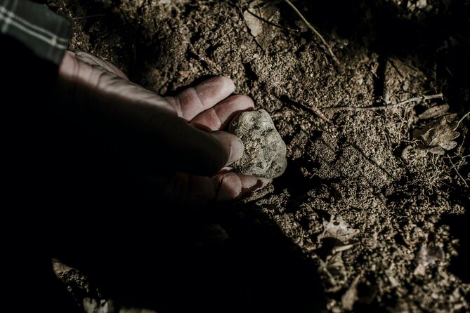 Truffle Hunting With Tasting