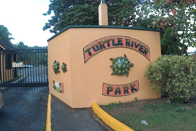 Turtle River Park and Panoramic Sightseeing in the Hills - Included Experiences