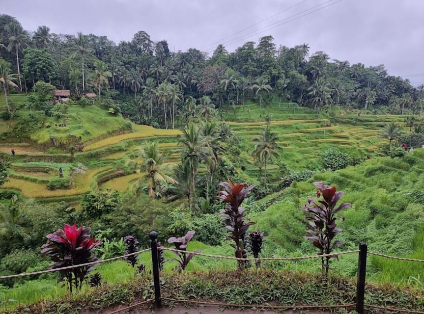 Ubud : Barong Dance, Temple, Rice Terrace & Waterfall