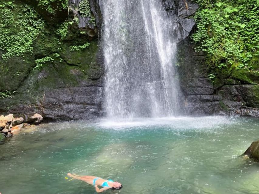 Ubud: Complete Full-Day Tour. Rice Terraces, Swing, & More.