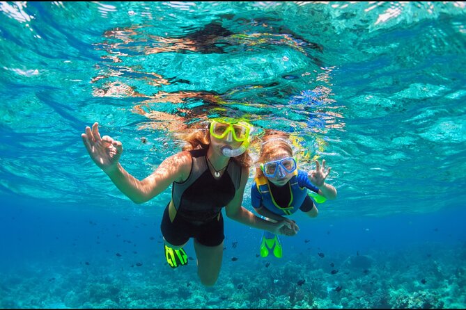 Underwater Sculpture Park Snorkel Adventure