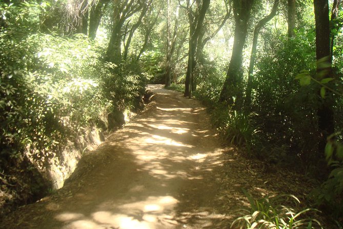 Valley De Paradise Levada Walk