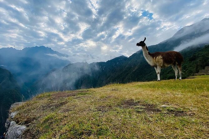 Visit Cusco & Machu Picchu in 5 Days / 4 Nights – All Inclusive