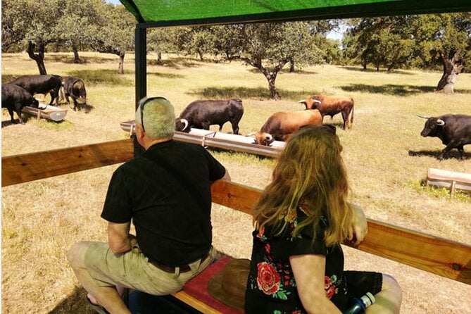 Visit to a Brave Bull Farm in Andalusia - Tour Overview