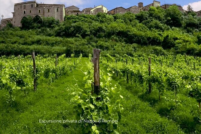 Visit to the Cellar at the Feudi Di San Gregorio Da Sorrento