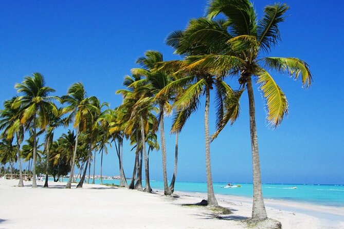 Vista Sol Punta – Round Trip Shuttle – Punta Cana Airport