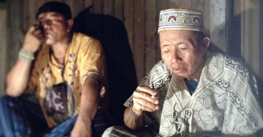Wachuma (San Pedro) and Ayahuasca Retreats, 7 Days