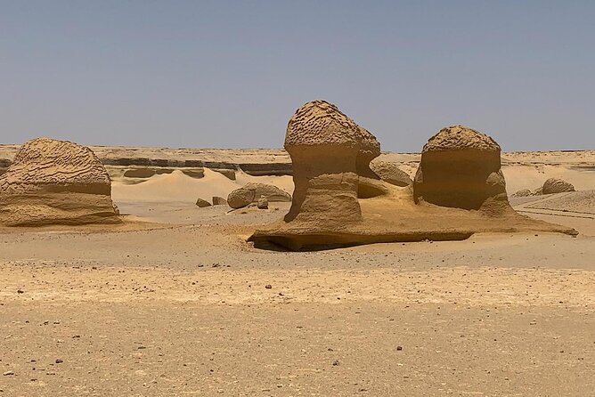 Wadi Al Hitan Day Trip From Cairo