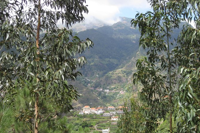 Walking Experience in the Serra DÁgua Valley - What To Expect