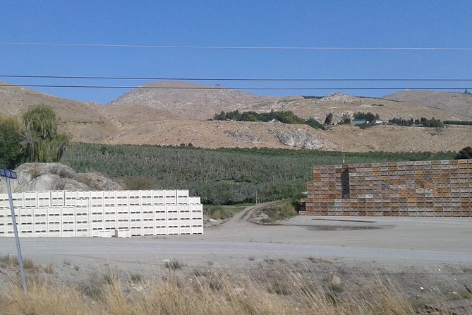 WASHINGTON ST AGRICULTURE, Apples & Irrigation