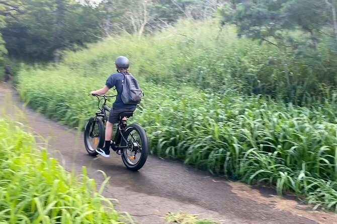 West Maui: Self-Guided E-Bike Kapalua Jungle Adventure Tour - Tour Overview and Details