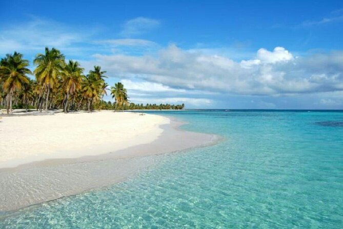 Whala Bavaro - Round Trip Shuttle - Punta Cana Airport - Overview and Service Details