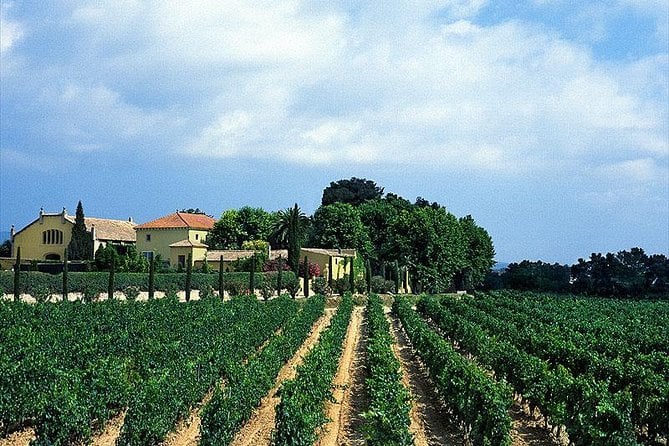 Winery Tour With Private Luxury Vehicle From Barcelona With Hotel Pick up - Tour Overview