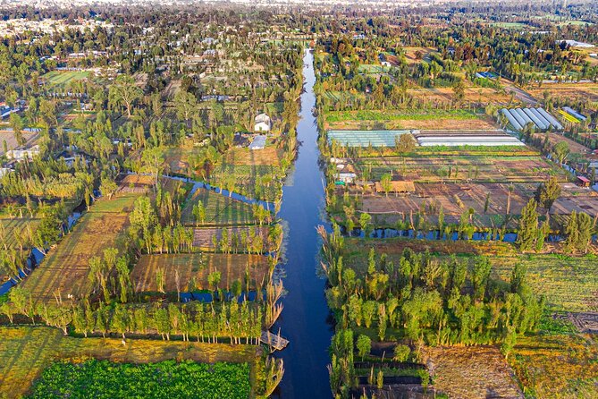 Xochimilco, Coyoacan and Frida Kahlo Museum Tour