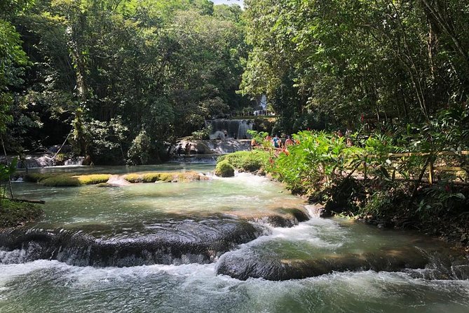 Ys Falls & Black River Safari Boat Cruise [Transportation Only] - Scenic Experience