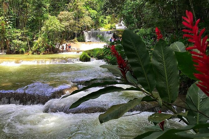 Ys Falls Private Tour