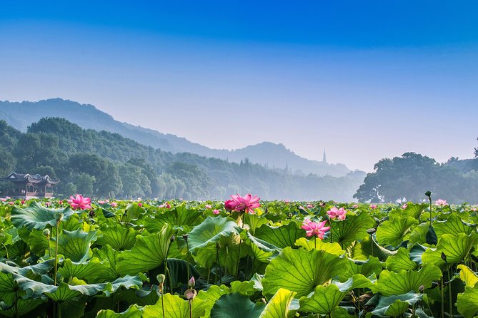 Yunxi Bamboo Forest Tour Review
