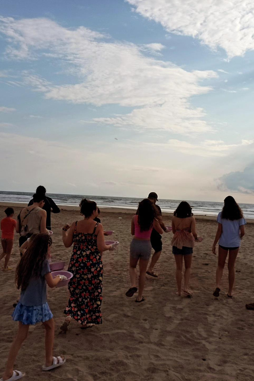 Zihuatanejo, Guerrero: Turtle Release Experience