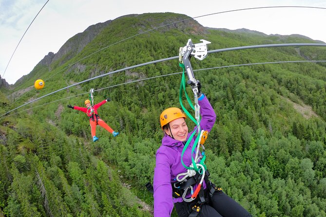 Zipline Experience in Mosjøen