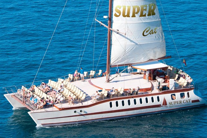 2-Hour Catamaran Cruise: Dolphin and Whales Watching From Puerto Rico - Key Points