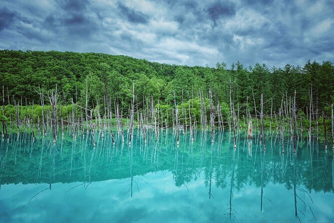 Hokkaido Furano and Biei Private Day Tour（Depart From Sapporo） - Exclusions