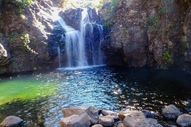 Levada Do Alecrim - Rosemary Levada (Full Day Walk) - Hiking Experience