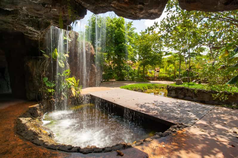 PEREIRA/ARMENIA: FULL DAY UKUMARI/CONSOTÁ + INDIVIDUAL ENTRANCE FEES - Bioparque Ukumari Highlights