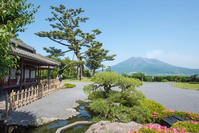 Port Pick-Up: Kagoshima Private Tour Licensed Guide ＆ Vehicle - Customizing Your Itinerary