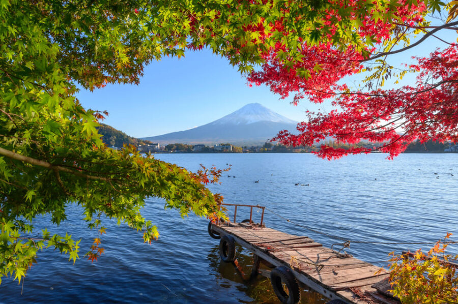 Tokyo to Mount Fuji A Full Day Private Tour From Tokyo