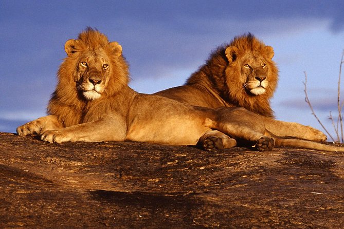 3 Days (2 Nights); Tsavo East & West Safari: