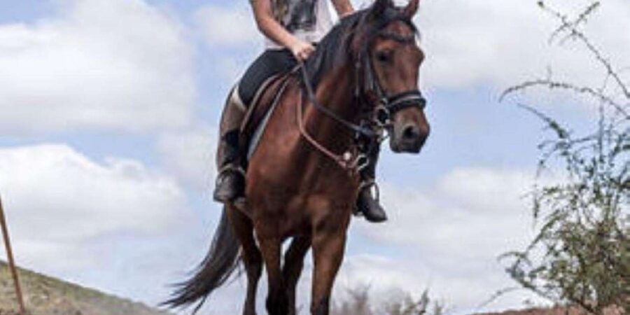 De Rust: Stompdrift Trail – Horse Riding Experience