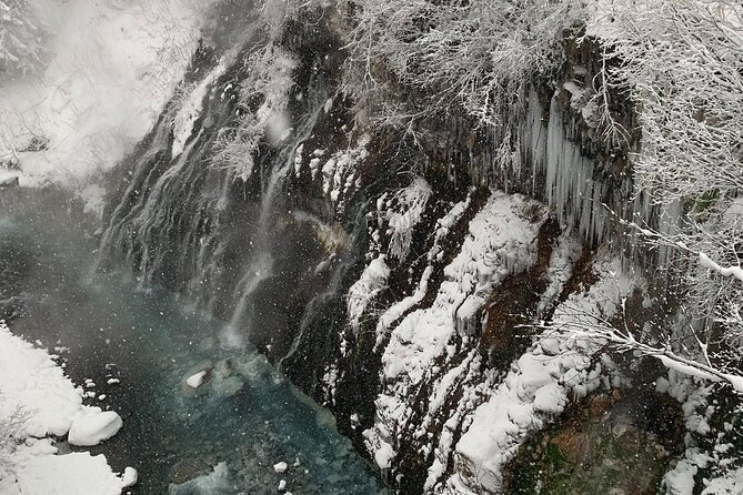 Hokkaido Furano and Biei Private Day Tour（Depart From Sapporo） - Booking and Confirmation