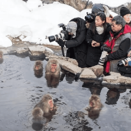 Nagano & Tokyo: Snow Monkey & Zenkoji Temple Private Tour