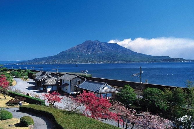 Port Pick-Up: Kagoshima Private Tour Licensed Guide ＆ Vehicle - Exploring Kagoshimas Highlights