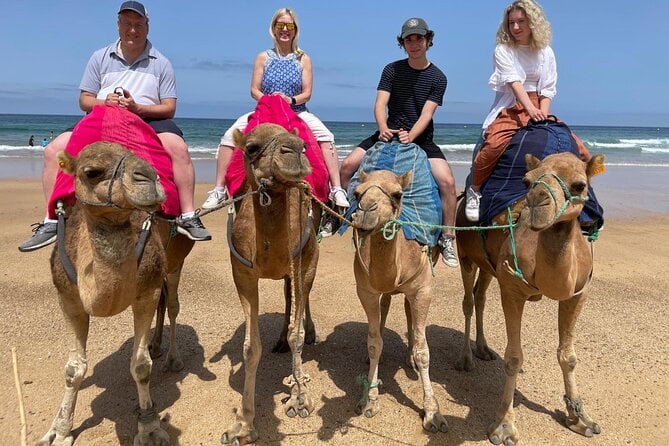 Private Day Tour in Gibraltar and Tangier, Morocco From Malaga - Crossing the Border to Tangier, Morocco