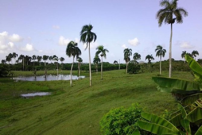 Safari From Punta Cana!