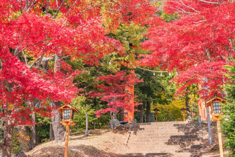 Tokyo：Mount Fuji Popular Instagrammable Sightseeing Tour - Tour Experience and Guidance