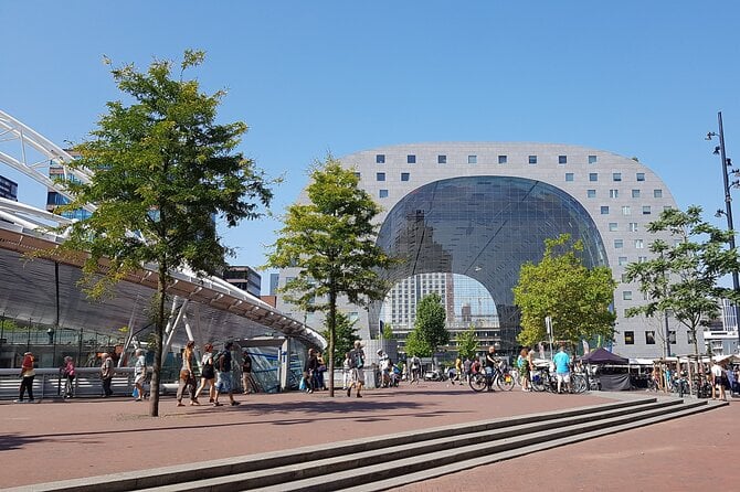 From Amsterdam: Day Trip to Rotterdam, Delft & Hague With Cruise - Traveler Feedback and Experiences