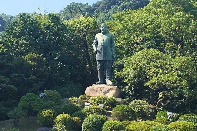 Port Pick-Up: Kagoshima Private Tour Licensed Guide ＆ Vehicle - Enhancing Your Cruise Port Visit